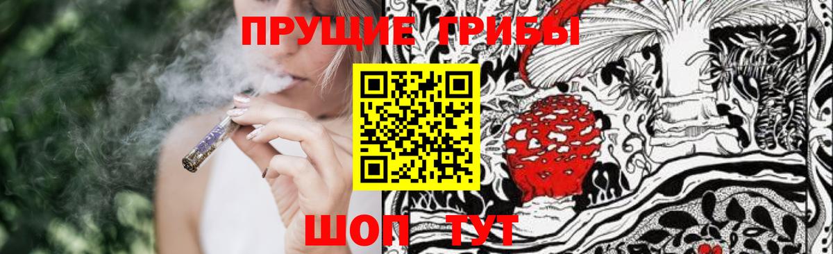 Галлюциногенные грибы Psilocybine cubensis  Алейск  Псилоцибиновые грибы Cubensis 